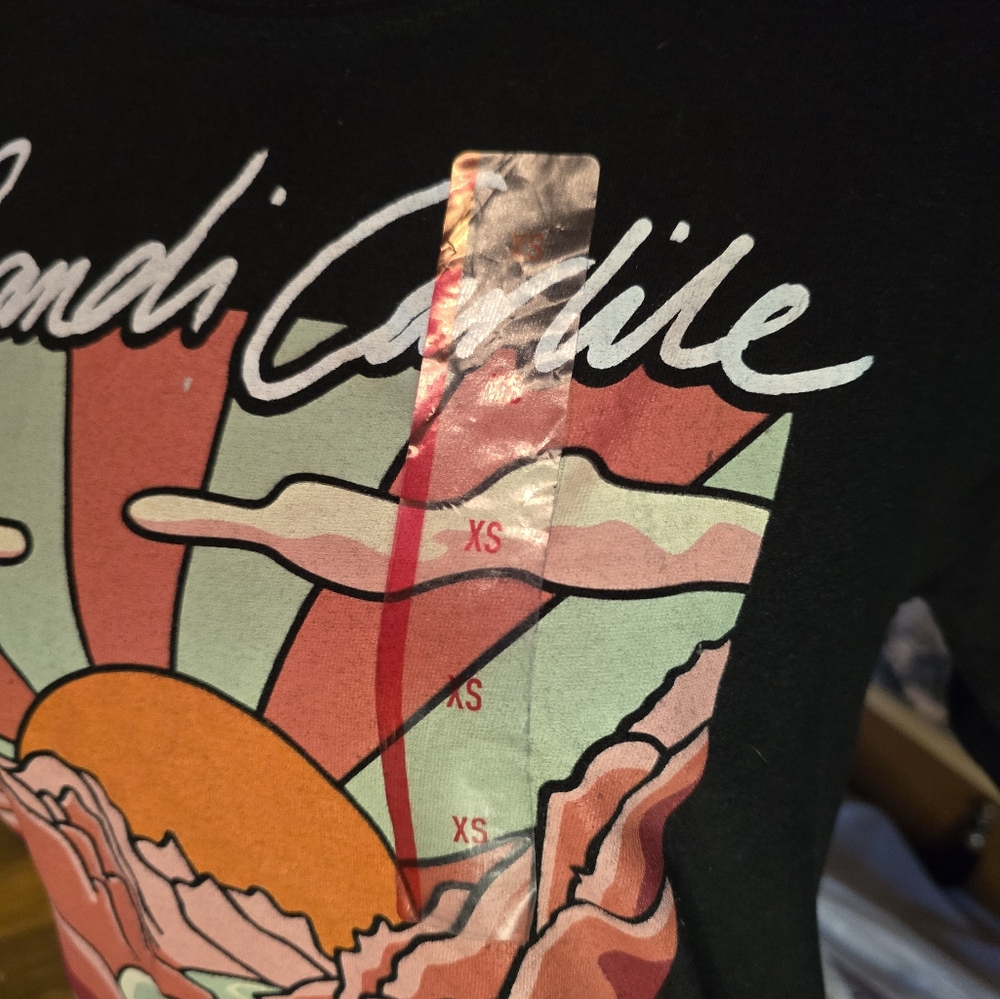 NWT Brandi Carlile "In The Canyon Haze" Tee - Picture 6 of 8